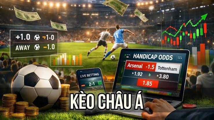 Nhà đầu tư phân tích dữ liệu trước khi đặt cược